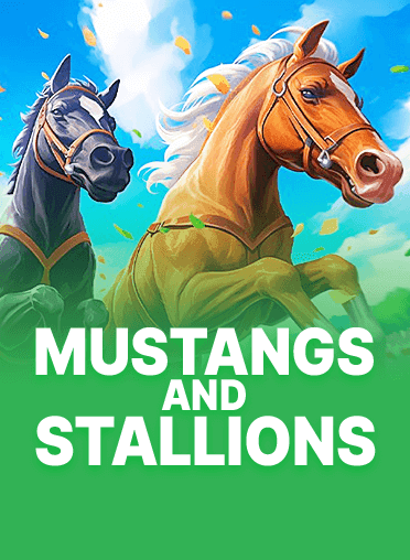 Mustangs and Stallions
