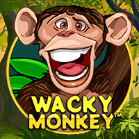 Wacky Monkey