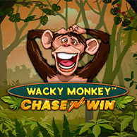 Wacky Monkey- Chase'n'Win